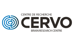 CERVO